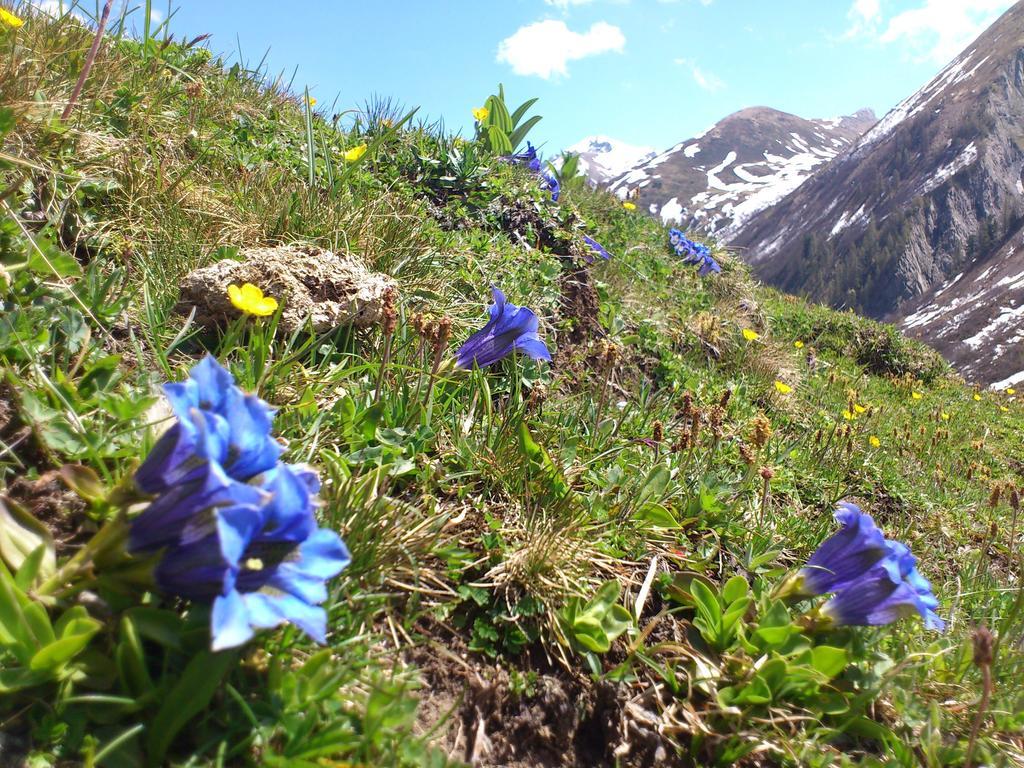 Ferienwohnungen Bailom Elbigenalp Bagian luar foto